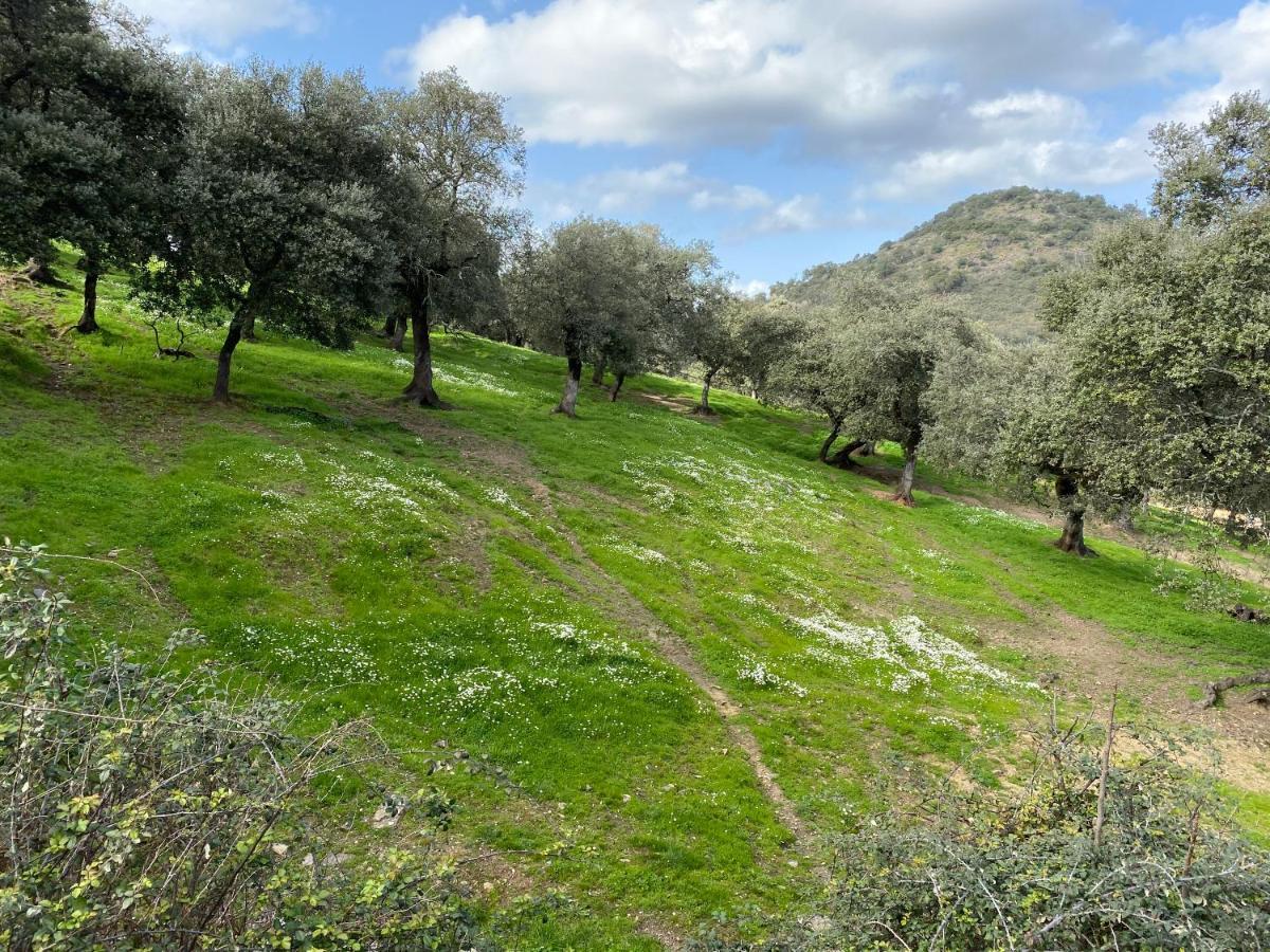 El Rincon De Aracena Villa Kültér fotó